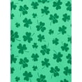 thumbnail image 2 of St. Patrick’s Day Toddler Boys or Girls Short Sleeve T-Shirt from Way To Celebrate, Sizes 12M-5T, 2 of 4