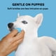 thumbnail image 5 of Cepillos de dientes para limpiar las puntas de los dedos de las mascotas Cepillos de dientes de silicona para mascotas Herramientas para limpiar los dientes de las mascotas, 5 of 5