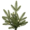thumbnail image 2 of Vickerman A141546LED Baume Frais de 4,5 Pi x 34 Po avec 200 LED Blanc Chaud, 2 of 2