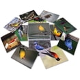 thumbnail image 3 of Midwest Backyard Bird Greeting Cards With Identification Card - 12 Different Birds - Blank on the Inside - 5.5" x 4.25" (12 Pack), 3 of 6