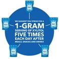 thumbnail image 2 of Zellies Xylitol Breath Mints, Cool Mint Flavor, Single Pouch, 540 Count, 2 of 5