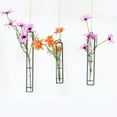 thumbnail image 2 of 3 Pcs Different Length Test Tube Hanging Glass Planter Bud Flower Vase Terrarium Container for Home Decoration Green Plants Wedding, 2 of 7