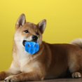 thumbnail image 4 of CBFFDC Convex Protrusion Design Pet Toy Ball Durable Vinyl Interactive Leaky Eating Ball with Built in Sound Generator Engaging Puzzle Molars Toy for Dogs, 4 of 7