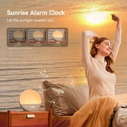 Dreamegg White Noise Sound Machine for Adult Sleep Sunrise Wake Up Alarm, 29 Soothing Sounds Therapy, White