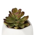 thumbnail image 4 of planta dec. suculenta blanca a, 4 of 5