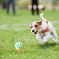 thumbnail image 5 of Pet Toy Interactive Artificial Food Dog Bite Toy Pet Teether Dog Squeaky Toy, 5 of 5