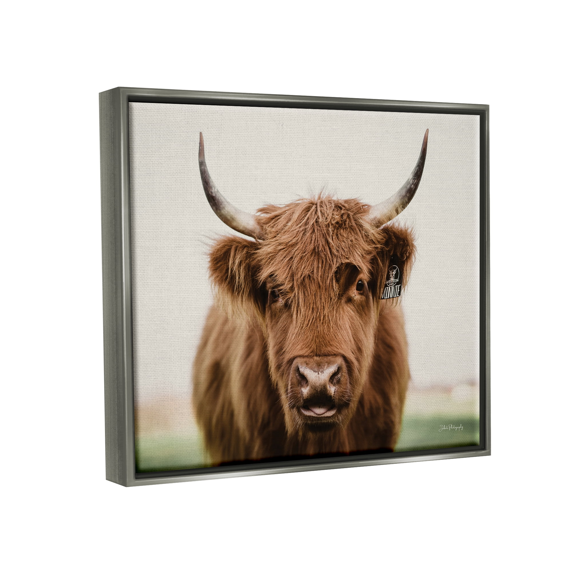 Stupell Industries Farmhouse Cattle Photography Animals & Insects Photography Gray Floater Framed Art Print Wall Art, 21 x 17