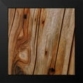 thumbnail image 2 of Vision Studio 12x12 Black Modern Framed Museum Art Print Titled - Natures Textures IX, 2 of 5