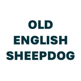 Old English Sheepdog Pill Butter