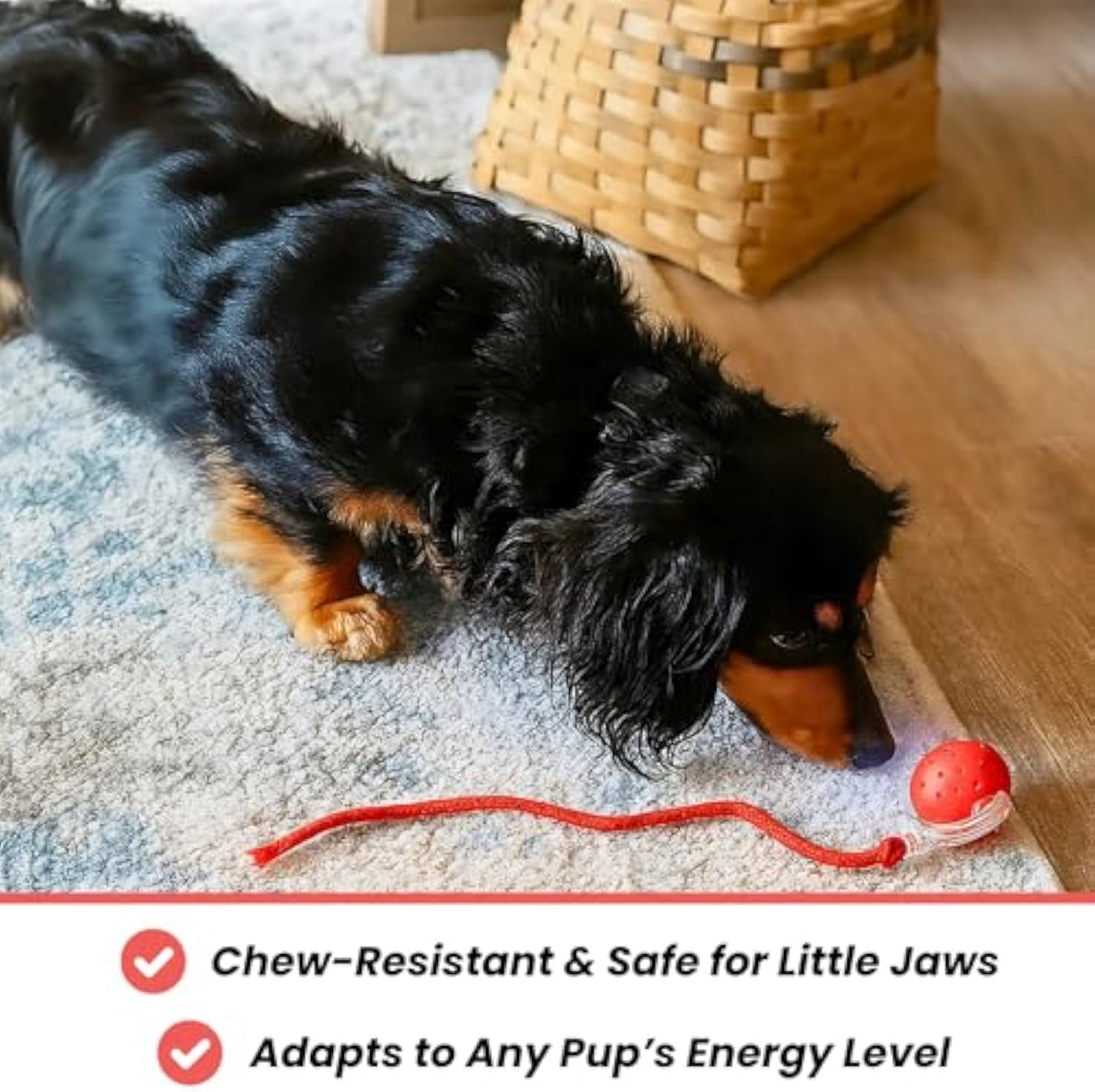 3PCS Tiny Ball Dog Toy, Tinyfetch Interactive Motion Dog Cat Toys Balls,360°Smart Automatic Rolling Electric Dogs Ball Toy with Birdsong, Fast Moving Toy for Dog and Cat,Tough Chew Proof