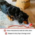 thumbnail image 2 of 4PCS Tiny Ball Dog Toy, Tinyfetch Interactive Motion Dog Cat Toys Balls,360°Smart Automatic Rolling Electric Dogs Ball Toy with Birdsong, Fast Moving Toy for Dog and Cat,Tough Chew Proof, 2 of 6