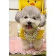 thumbnail image 3 of Small Dog Dress,Summer Pet Floral Dress with D-Ring,Cute Ruffle Trim Sleeve Pet Skirts for Cat Puppy Small Dog Yellow S, 3 of 6