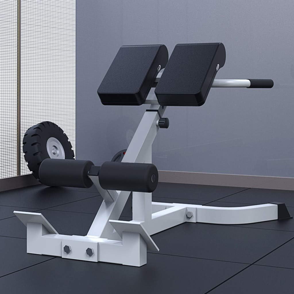 TOPTENG Roman Chair Back Extension Machine - Lower Back Hyperextension Bench - Adjustable Exercise Equipment for Hamstring and Glute for Home Gym 300 lbs