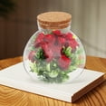thumbnail image 4 of Micropaisaje Botella vacía Macetas suculentas Contenedores de alimentos con tapas Florero de paisaje Corcho de vidrio, 4 of 6