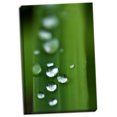thumbnail image 2 of Gango Home Decor Morning Dew III by Erin Berzel (Ready to Hang); One 24x36in Hand-Stretched Canvas, 2 of 4