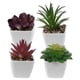 thumbnail image 1 of 4 piezas de simulación de plantas suculentas decorativas de imitación de plantas en maceta para decoración del hogar, 1 of 6