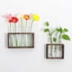 thumbnail image 2 of Arreglo floral de plantas hidropónicas con marco de madera creativo, jarrón de tubo de ensayo de vidrio con rosa verde, decoración para colgar en la pared, manualidades, decoraciones para la sala de, 2 of 5