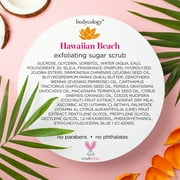 Bodycology Hawaiian Beach Exfoliating Sugar Scrub, 10 fl oz