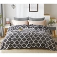 thumbnail image 4 of JML Luxuriously Velvety Plush Blanket Soft Lightweight Blanket Gray Clover Queen, 4 of 5