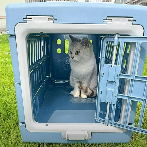Cat crate walmart top