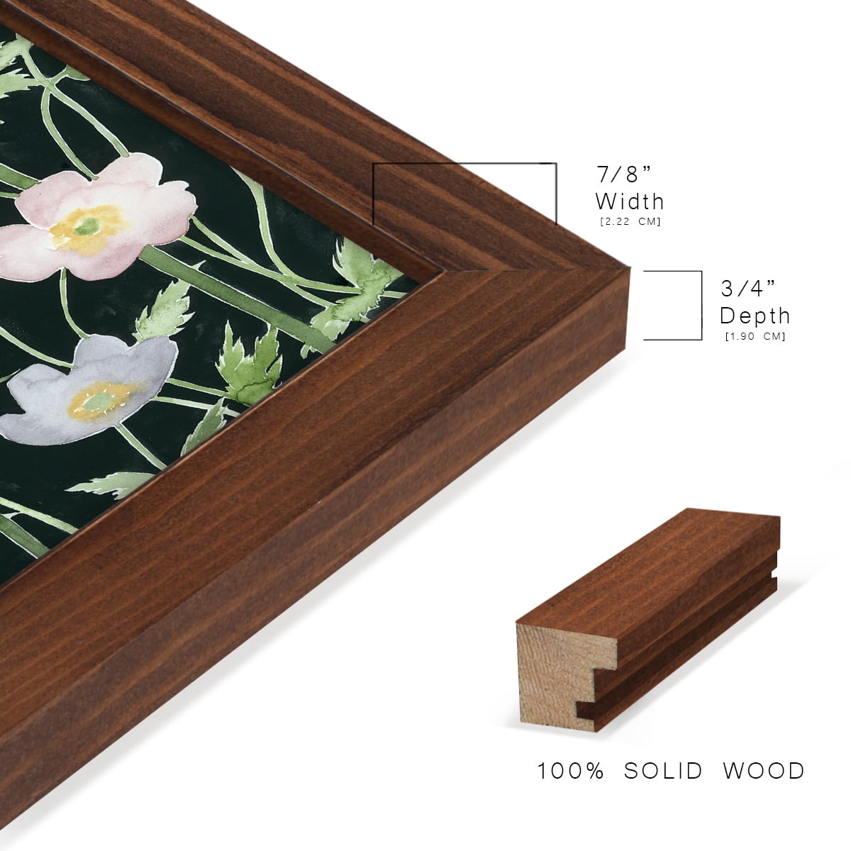 Anemone Dance II -Framed Print w/glass-Chestnut