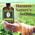 thumbnail image 2 of Aceite natural de vitamina E Earth's Care - Aceite de vitamina E natural para la piel y el cabello - 1 fl oz, 2 of 3