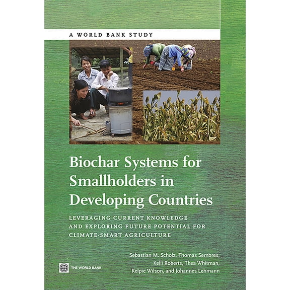 World Bank Studies Biochar Systems for Smallholders in Developing Countries: Leveraging Current Knowledge and Exploring Future Potential fo, (Paperback)
