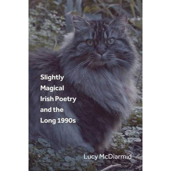 Slightly Magical Irish Poetry and the Long 1990s, (Hardcover)