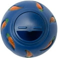thumbnail image 1 of Treat Ball, Snack Ball for Small Animals, 1 of 5