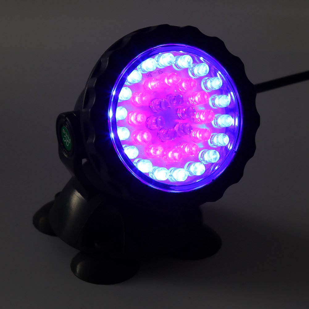 Get Plage decorations de reservoir de poissons For Free