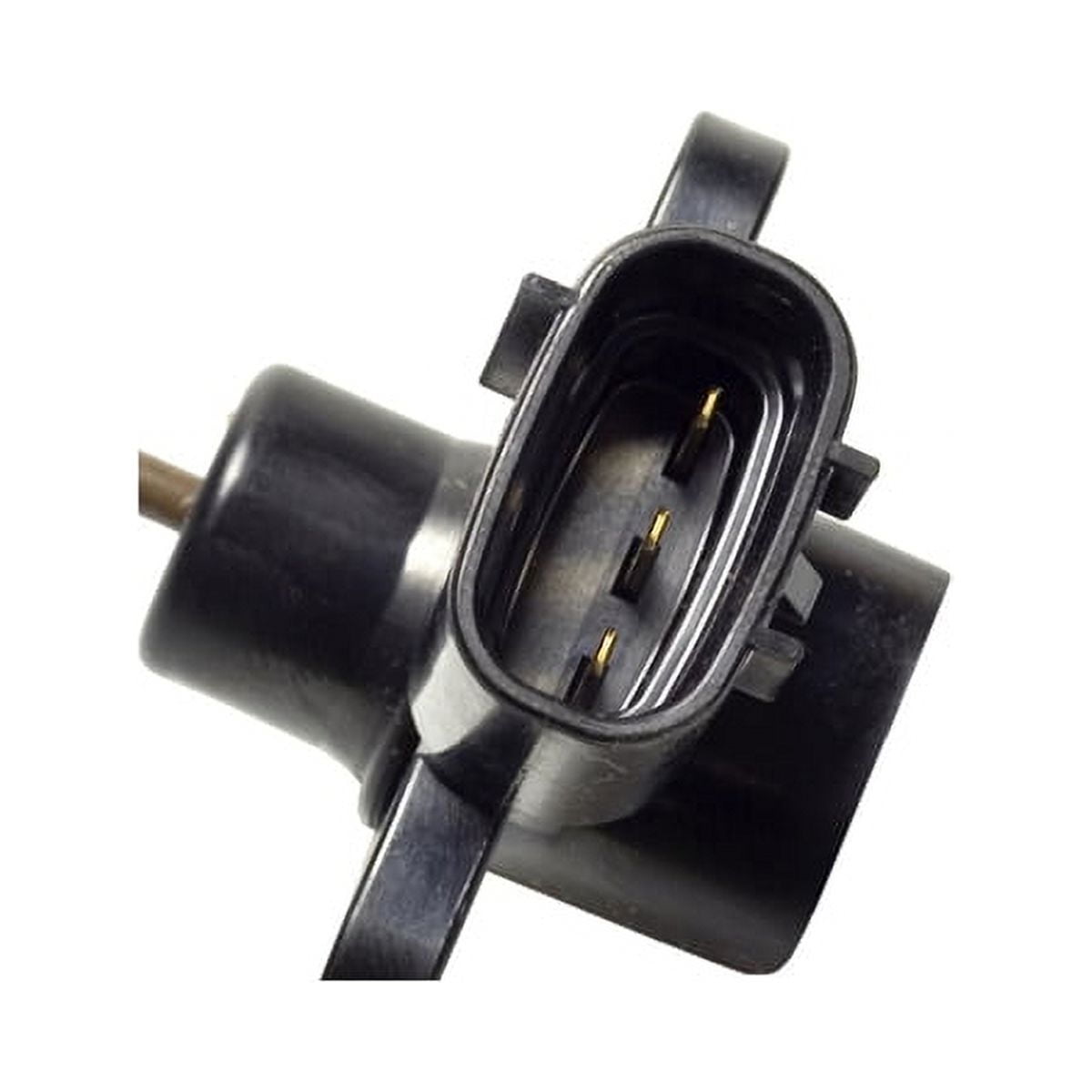 EGR Valve Position Sensor