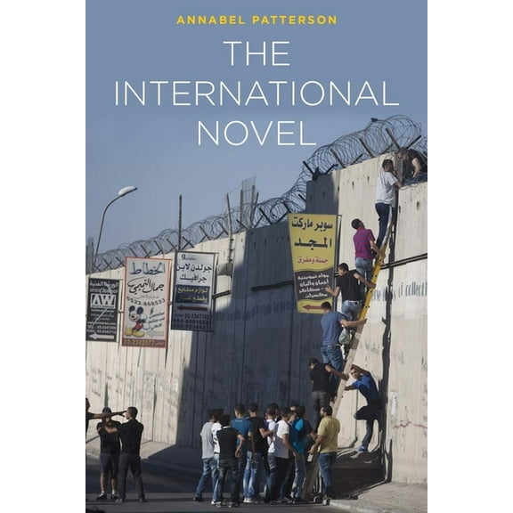 The International Novel (Paperback)
