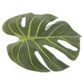 thumbnail image 1 of Moluckfu Decorativa Para Con De Sin Taladro Para De, 1 of 7