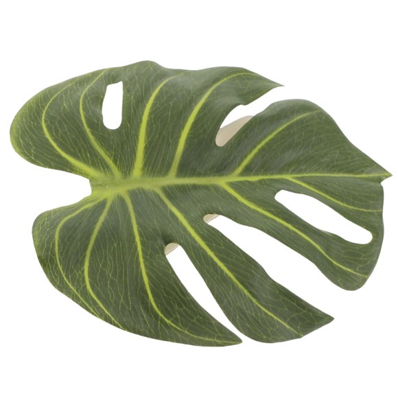 Moluckfu Decorativa Para Con De Sin Taladro Para De