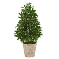 thumbnail image 1 of Nearly Natural 9363 39 in. Bay Leaf Cone Topiary Artificial Tree in Farmhouse Planter, 1 of 3