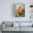 thumbnail image 3 of Canvas Wall Art - John Silver 'Cockerel' Wall Art for Living Room, Bedroom, or Office Décor by Trademark Fine Art - 35 x 47 Inches, 3 of 4