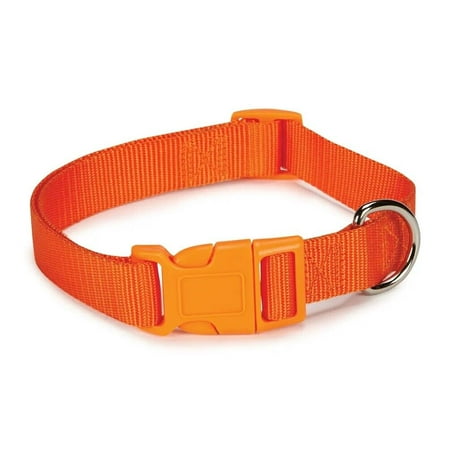 Dog Collar Bulk Packs 25 Orange Nylon Shelter Rescue Vet 4 Adjustable Sizes (10 - 16 Inch)