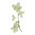 thumbnail image 2 of ACEE 11x18 White Modern Wood Framed Museum Art Print Titled - Myrtle Tree, 2 of 4