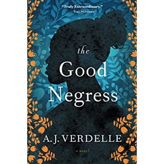 Pre-Owned The Good Negress (Paperback) 161620527X 9781616205270