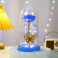 thumbnail image 2 of LED Preserved Rose Night Light in Glass Dome with Butterfly Valentine's Day Birthday Gift for Women Romantic Decoration(Blue), 2 of 6