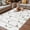 Light Green Light Brown White, variant on Sparrow Outdoor Rug for Patio/Deck/Porch, Non-Slip Large Area Rug 3 x 5 Ft, Spring Birds on The Branches Retro Country Beige Indoor Outdoor Rugs Washable Area Rugs, Camping Rug Carpet Runner