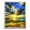 L, variant on Riforla Moon Painting Kits for Adults 5D Beach Art Kits for Beginners DIY Full Round Drill Seaside Paint with Dots Home Wall 15.75 X 11.81 Inch Painting Supplies A