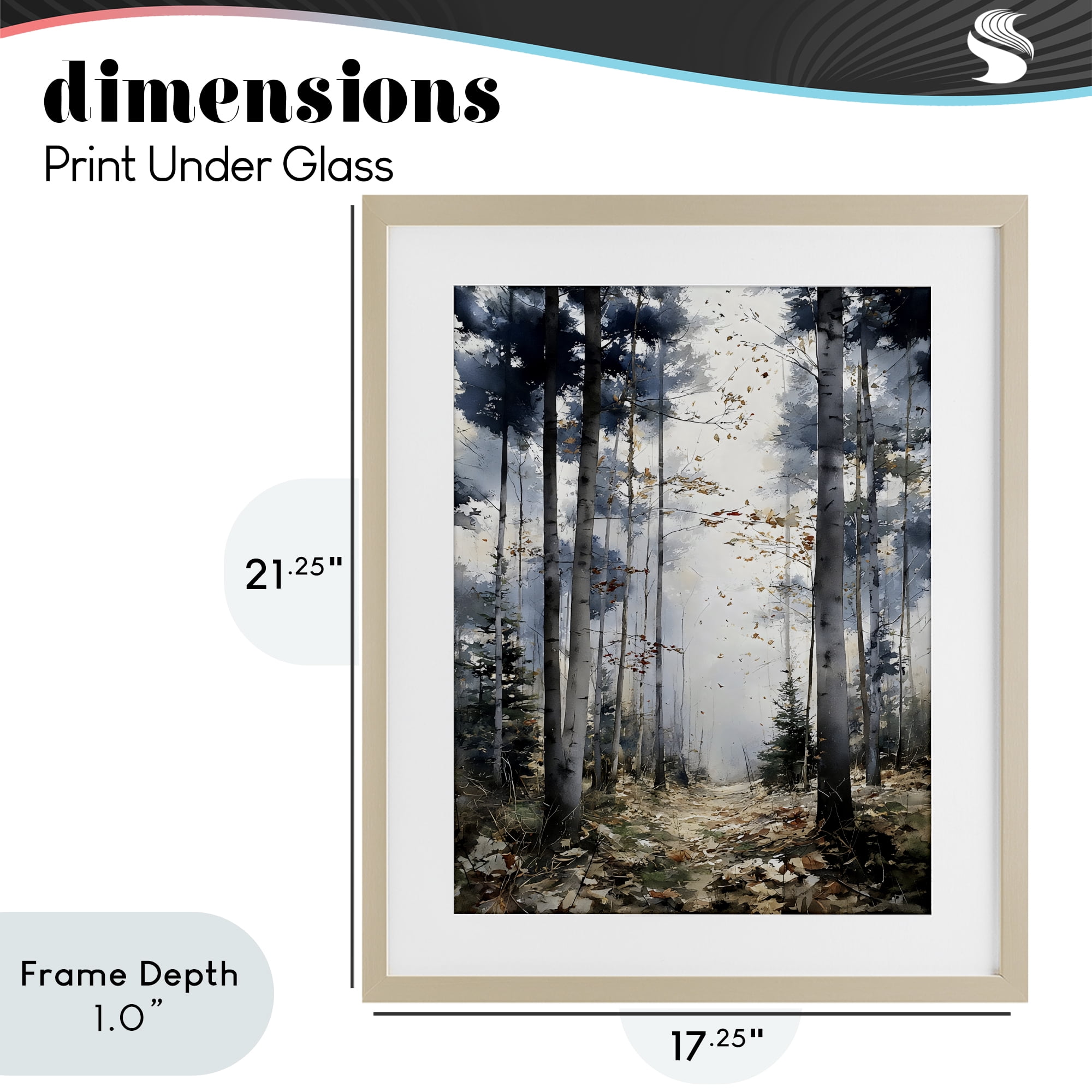 Stupell Industries Cold Woods Birch Forest Birch Framed Print Under Glass, design by Franklyn Gregory