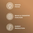 thumbnail image 3 of Dr. Mercola Organic Lion's Mane Mushroom Extract, 30 Capsules 500 mg Organic Lion's Mane, Non-GMO, Gluten Free, Soy Free, 3 of 6