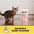 thumbnail image 3 of Gâteries pour chatons TEMPTATIONS saveur de saumon et de lait, 3 of 9