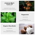 thumbnail image 6 of Olazarah Jamaican Black Castor Hair Oil, 3 Piece Bundle, 6 of 6