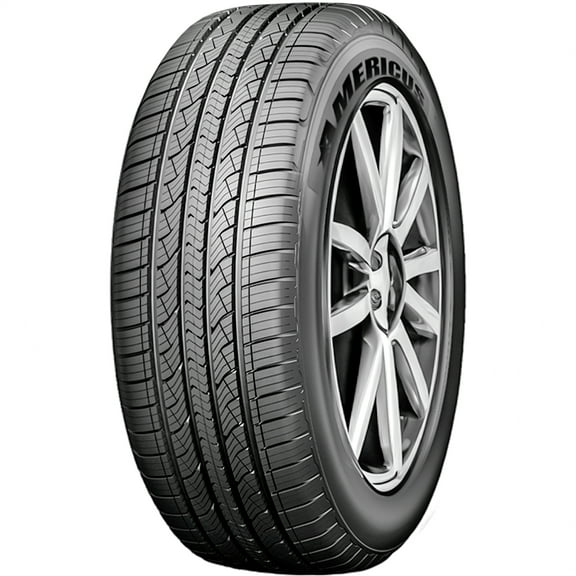 Americus Recon Tour 215/45R17 91V XL a/s All Season Tire