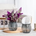 thumbnail image 3 of Transparent Spirals Pattern Flower Pot Good Air-Permeability Plant Pot for Home Garden, 3 of 4