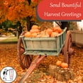 thumbnail image 5 of Fall Leaves Thanksgiving Cards | 10 Pack Bulk Set (5x7), 5 of 6
