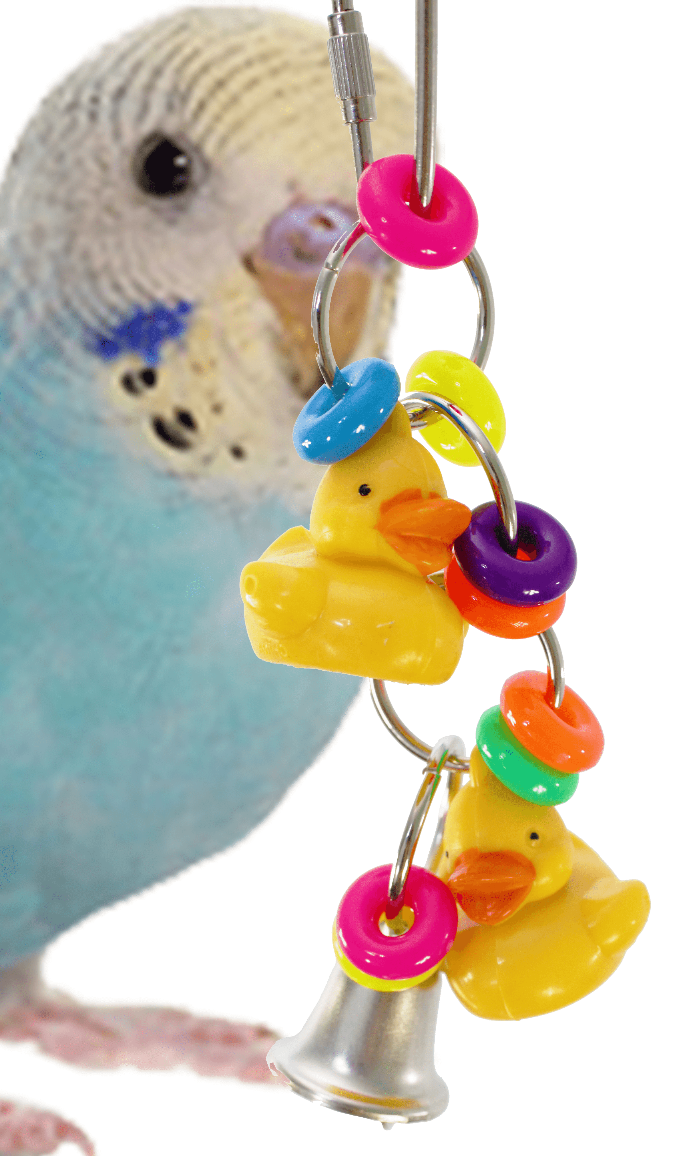 bird toys walmart
